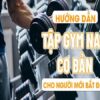 Hướng dẫn tập gym nam cơ bản cho người mới bắt đầu