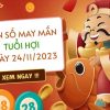 Con số may mắn tuổi Hợi hôm nay ngày 24/11/2023